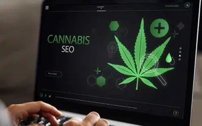 How Powerful Cannabis SEO Services Can Accelerate Your Company’s Success