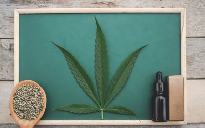 Cannabis SEO: Best Strategies to Beat the Competition